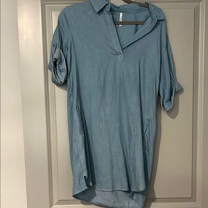 Light Blue Collared Dress